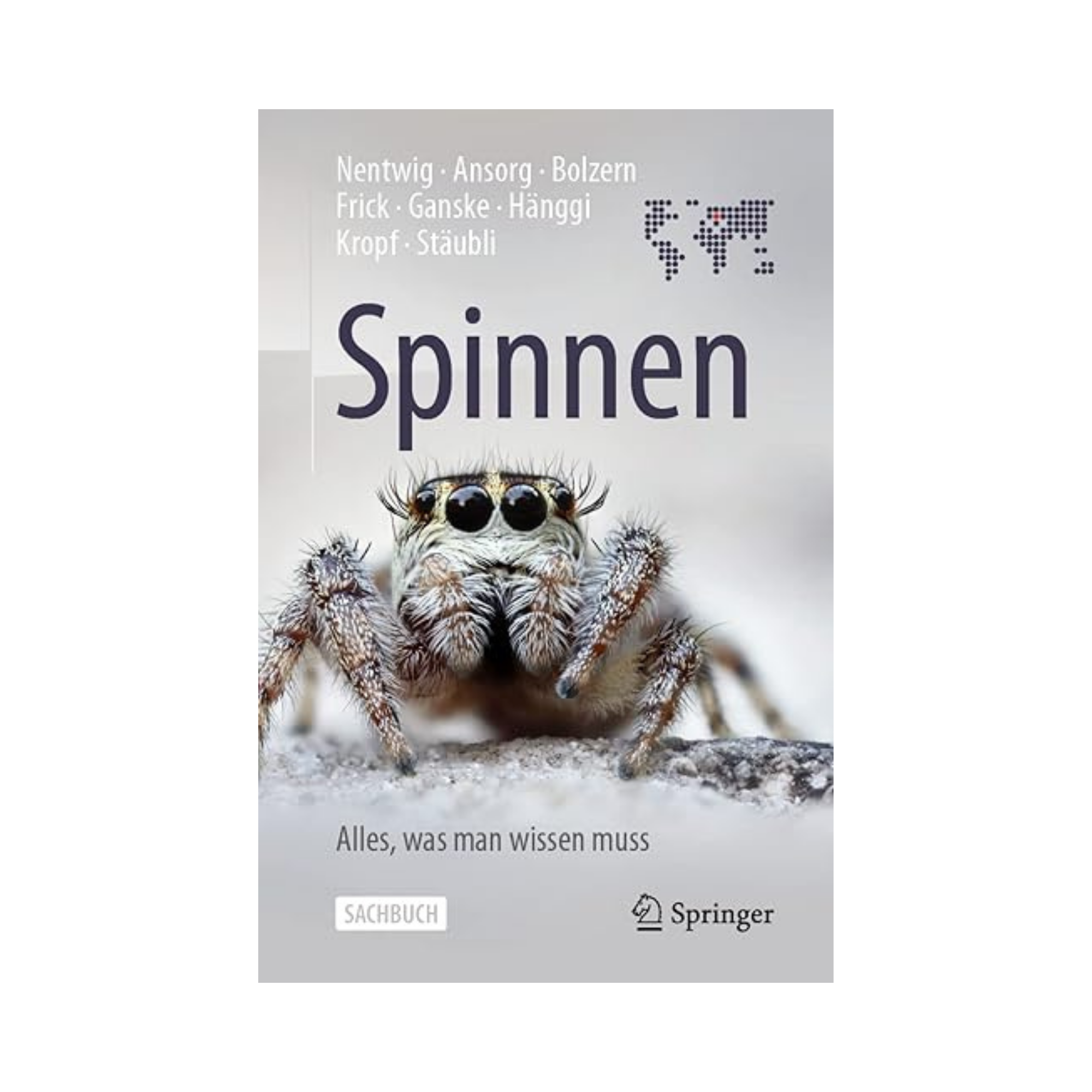 Spinnen – Alles, was man wissen muss